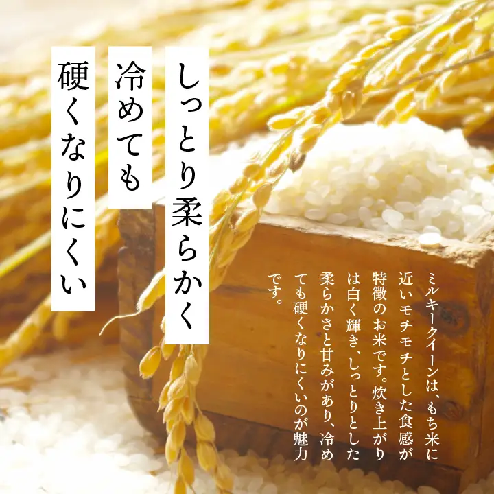 米 令和7年産 ミルキークイーン5kg【株式会社あだたら米】