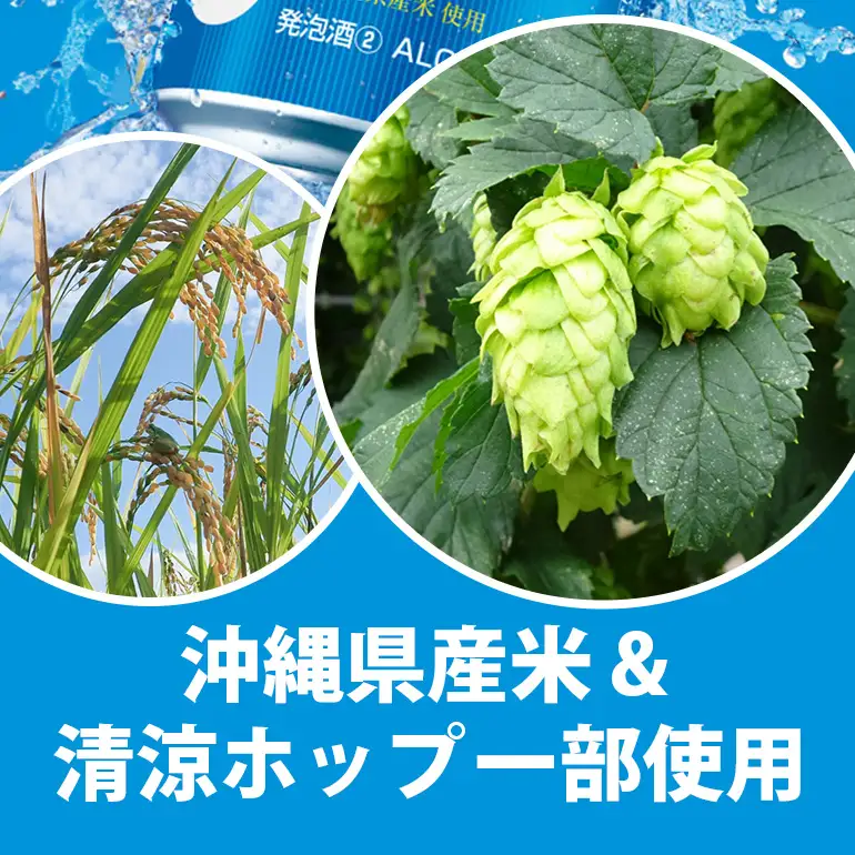 オリオンサザンスター(350ml×24缶)1ケース 沖縄 リキュール 発泡性 ビール BEER orion サザンスター お酒 酒 缶ビール 地ビール オリオン クラフトビール 沖縄ビール アルコール 5％ 缶 家飲み お歳暮 誕生日 お祝い 沖縄県 糸満市 36-29