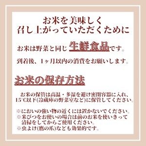 新米 先行予約 さがびより 佐賀県産 白米 10kg (5kg×2) 五つ星お米マイスター厳選 米 ※配送不可：離島