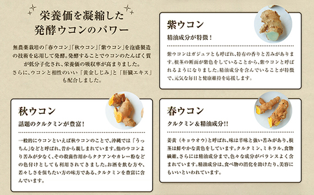 【2袋】沖縄県産琉球発酵ウコン 1袋(1粒重量250mg 3粒×31包) 沖縄県産の3種類のウコン | 飲みやすい タブレット 無農薬 農薬・化学肥料 不使用 自然由来 | 株式会社 しまのや | サプリ サプリメント 健康食品 | 送料無料