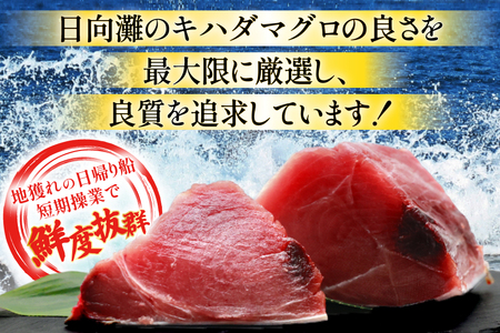 【期間限定発送】 マグロ 刺身 宮崎県産 天然 キハダマグロ 約500g [ミツイ水産 宮崎県 日向市 452061258]