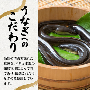 きざみうなぎ蒲焼 80g×18P 約1440g カット済み
