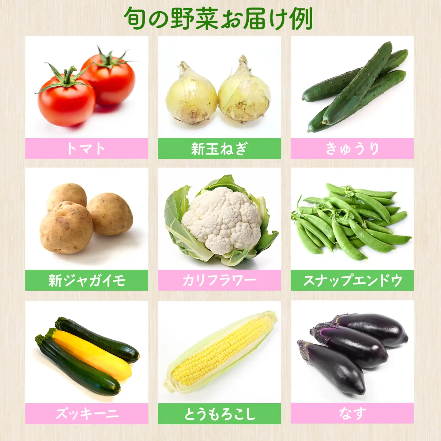 K2577 【定期便/3ヶ月連続お届け】さかいの採れたて 野菜セット(5～8種) 道の駅さかい おまかせ 産地直送 新鮮