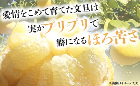 文旦とみかんのプチBOX 約3kg - 果物 くだもの フルーツ 柑橘類 ぶんたん ブンタン ミカン 詰め合わせ つめあわせ セット 食べ比べ お楽しみ おいしい 特産品 ms-0088