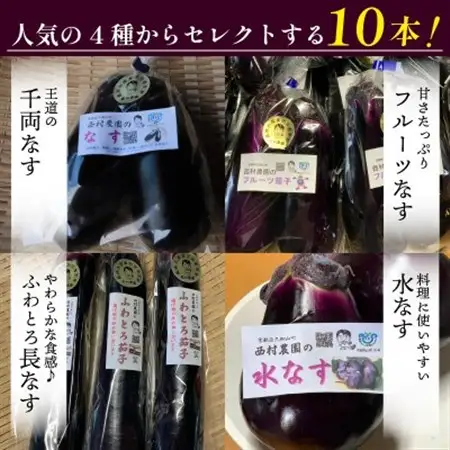 なす3~4種類おまかせ10本!(水なす・フルーツなす・千両なす・ふわとろ長なす)_野菜 茄子  なす ナス_【1613688】