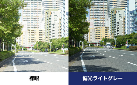 跳ね上げ式/「偏光」前掛けサングラス　丸みを帯びたメガネ用　楕円形のオーバルタイプ　「BV-26」　レンズカラー：(3)偏光ライトグレー