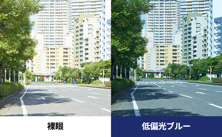 跳ね上げ式/「偏光」前掛けサングラス　柔らかい印象を与えるボストンタイプ　「BV-31」　レンズカラー：(9)低偏光ブルー