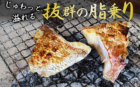 真鯛カマ 切り落とし 大満足 1kg 500g×2 パック 小分け 国産 希少部位 真鯛 マダイ 鯛 タイ たい ソテー 塩焼き 煮付け 鯛めし 人気 大満足 美味しい 魚介類 海鮮 バーベキュー BBQ 冷凍 肉厚 ふるさと納税 三重県 尾鷲市 OB-35