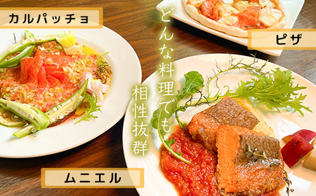 ★お中元★　氷室サーモン400g（200g×2個）