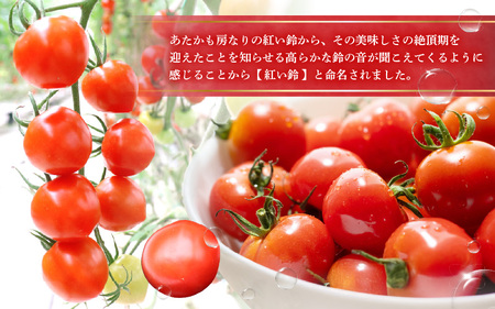 フルーツミディトマト 2kg（1kg×2箱）トマト 野菜  [m37-a025]