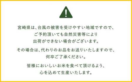 【6か月定期便】 無洗米 ＜チャック付＞ 米 国産 令和7年産 コシヒカリ 宮崎県産（5kg×6回）