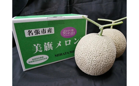 希少品　特選　美旗メロン　3L（青）2玉