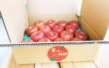 【訳あり】 青森県南部町産 濃厚りんご サンふじ （規格外品） 約5kg 【アグリーデザイン】 F21U-040