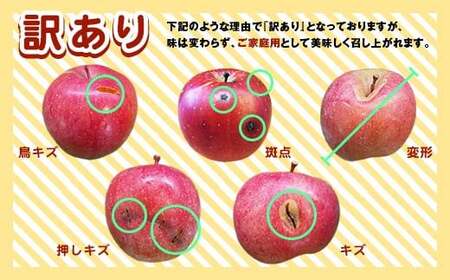 《訳あり》 有機JAS認証 サンふじ りんご 約10kg 【和楽堂りんご養生農苑】 オーガニック 無農薬 F21U-288