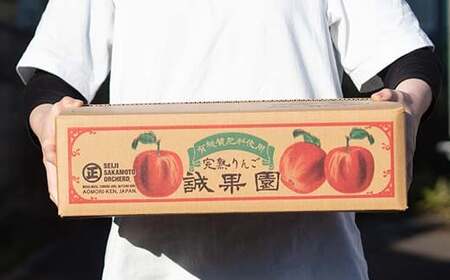 【訳あり】 青森産 完熟 りんご サンふじ （中～大玉） 約5kg 【誠果園】 F21U-388