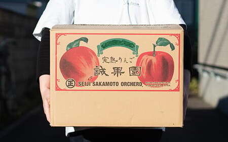 【訳あり】 青森産 完熟 りんご サンふじ （中～大玉） 約10kg 【誠果園】 F21U-389