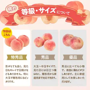 《先行受付》品種おまかせ 大玉白桃 約3kg【特秀】 （8～10玉）【2026年8月上旬頃～発送予定】 001-100