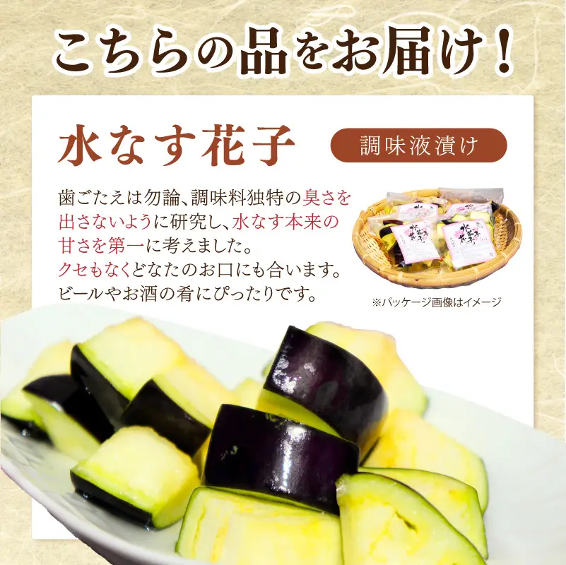 泉南銘産 水なす調味液漬け 水なす花子 10袋【042D-021】