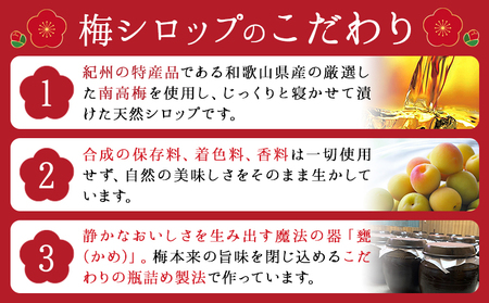 孫さんの紀州南高梅 梅シロップ 500ml×5本 イクス産業《30日以内に出荷予定(土日祝除く)》和歌山県 紀の川市 梅 シロップ