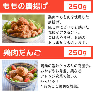 冷凍デリ 定期便 6回 鶏肉 冷凍食品 防災 鶏肉 冷凍食品