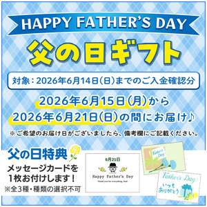 【令和8年 父の日】芋焼酎 「福金山（ふくきんざん）」 金箔入り 720ml×2本 化粧箱入 濵田酒造 メッセージカード付 2026【FDA-003H】