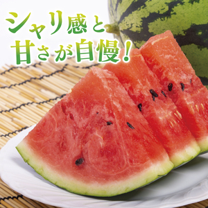 スイカ すいか 西瓜 2L 大玉 甘い 茨城県産 阿見町 産地直送 夏限定 フルーツ シャリ感 春 旬 夏 先行予約【2026年6月下旬より順次配送】（73-02）