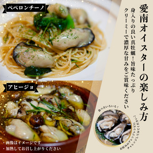 【7営業日以内発送】愛南 オイスター 2kg  牡蠣 加熱用 殻付きかき
