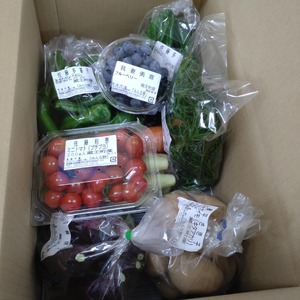 蔵王産 季節の恵み詰合せセット　【04301-0021】
