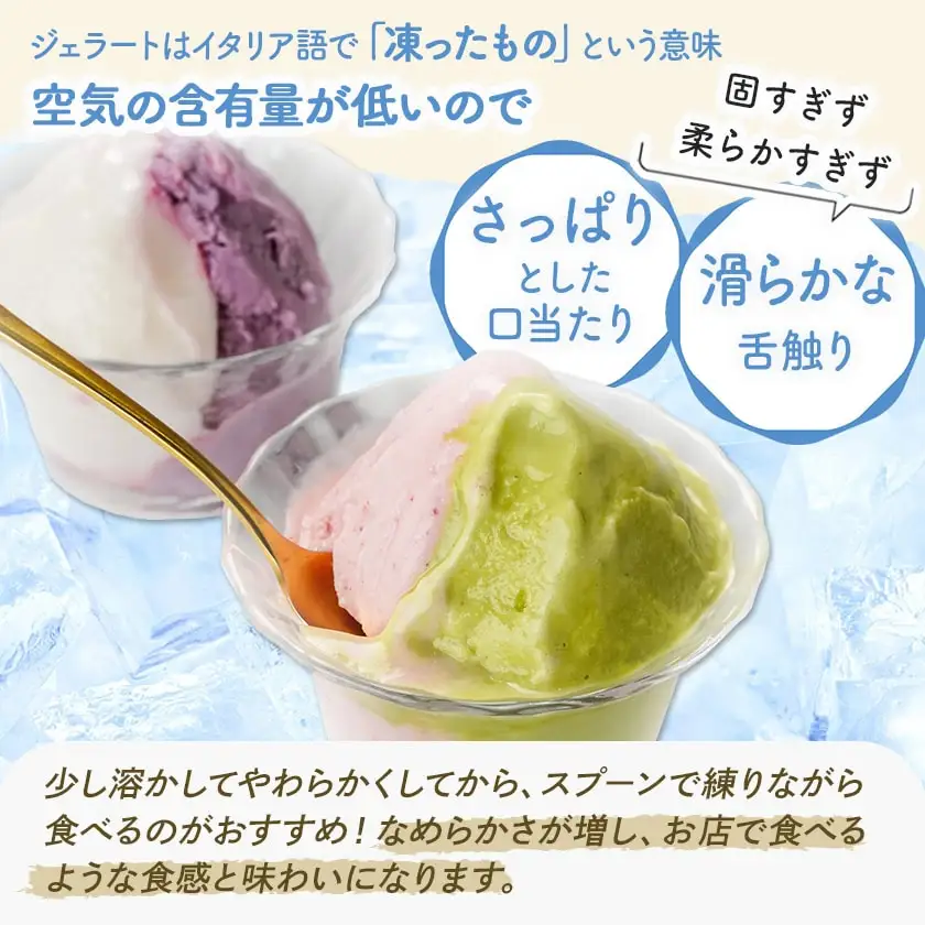 ジェラート専門店「ボンチーノ」7種12個セット_MJ-1565