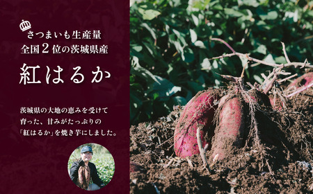 【 訳あり 】 冷凍焼き芋 紅はるか 3kg 【 さつまいも さつま芋 サツマイモ 焼芋 やきいも スイーツ 甘味 わけあり 人気 おやつ スイートポテト 大学芋 大学いも 】