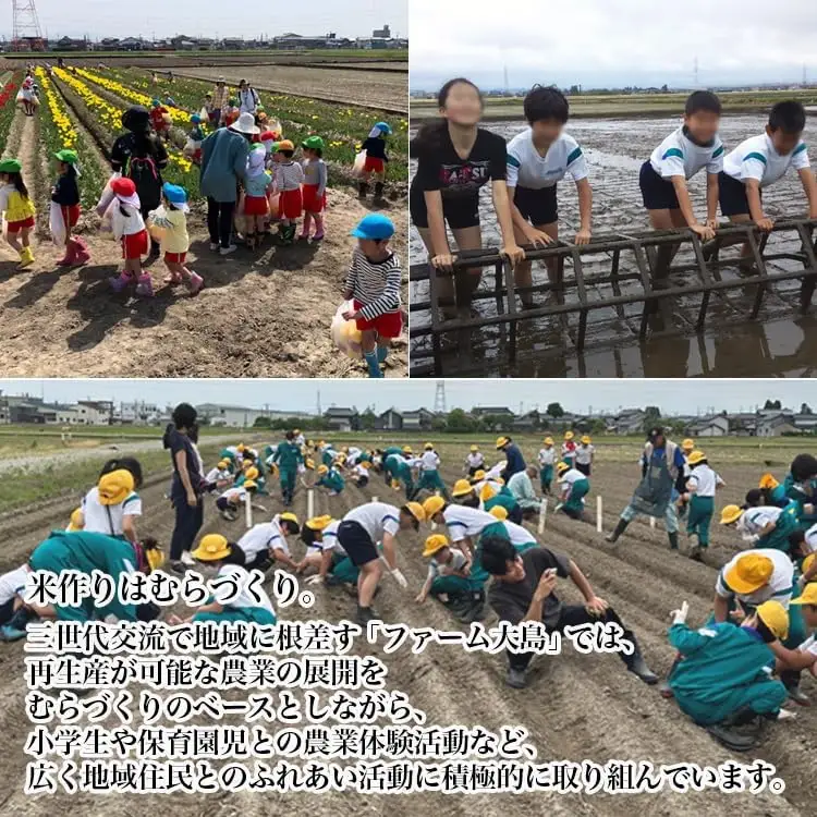【R8年度産米】総理大臣賞受賞 人気のブランド米「富富富」10kg（5kg×2）【玄米】｜ お米 令和8年産米 銘柄米 こめ 小分け 5kg 10kg 5キロ 10キロ 三世代交流 白米 富山県 射水市おおしま ほほ笑み米 ※離島への配送不可 ※2026年10月上旬～10月下旬頃に順次発送予定