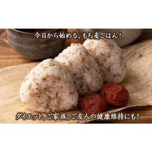 もち麦 4.0kg(400g×10袋)