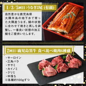 【F90002】＜定期便・全6回＞肝付町セレクト定期便《鰻と牛肉を楽しむ定期便》 鹿児島 牛肉 黒毛和牛 鰻 うなぎ ウナギ 焼肉 焼き肉 しゃぶしゃぶ ステーキ ヒレ フィレ 定期便 セレクト 冷凍 冷凍食品 【株式会社きもつき未来商社そらまち】