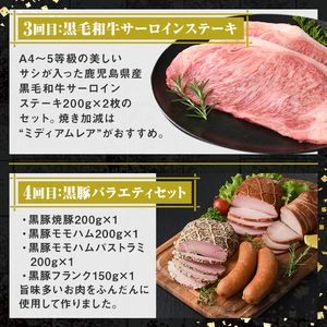 【E90002】＜定期便・全5回＞肝付町セレクト定期便《肉だらけ定期便B》 鹿児島 牛肉 黒毛和牛 豚肉 黒豚 鶏肉 唐揚げ 味付け 定期便 セレクト 加工品 肉加工品 簡単調理 冷凍 冷凍食品 【株式会社きもつき未来商社そらまち】
