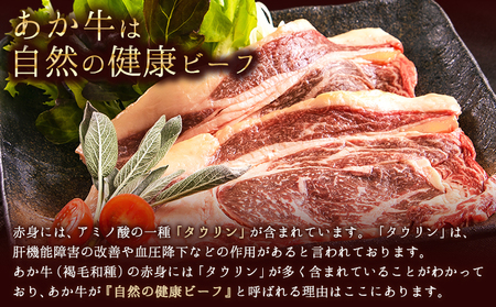 あか牛ロースステーキ 250g×2 500g 牛肉《30日以内に出荷予定(土日祝除く)》