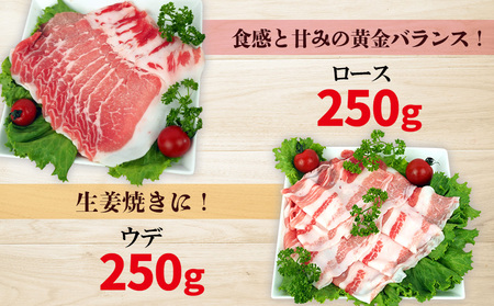 チャ―グー4種食べ比べ1kg（250g×4P） 沖縄 チャーグー アグー ブランド豚 旨み ジューシー ヘルシー 沖縄料理 しゃぶしゃぶ ステーキ ロースカツ バラ モモ ウデ ロース 豚肉 人気 高校生 小分け 豚しゃぶ