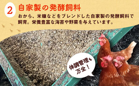 平飼い 新鮮 たまご 元気玉 計20個 たまご BHAP001