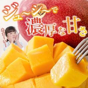【2026年6月以降お届け】極　完熟マンゴー（2玉：約1.1kg）_完熟マンゴー 2玉 約 1.1kg 久留米産 平均糖度 17度～18度 完熟 マンゴー 国産 フルーツ トロピカルフルーツ 果物 デザート 冷蔵 クール便 お取り寄せ お取り寄せフルーツ 福岡県 久留米市 送料無料 〔Fm018〕