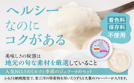 豊橋の恵みが詰まった新鮮＆ヘルシーなジェラート 6個入 アイス ジェラート ヘルシージェラート ジェラートサンタ