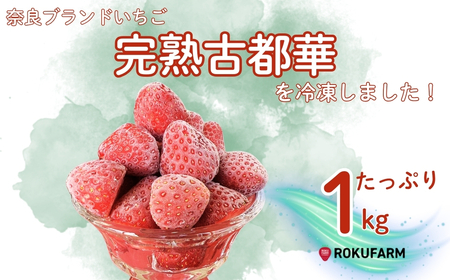 【数量限定】完熟古都華 の 冷凍いちご（古都華） 奈良ブランド苺 イチゴ フルーツ 果物 国産 冷凍 人気 かき氷 フローズン スムージー ジャム アレンジ スイーツ 『6FARM』  10-212