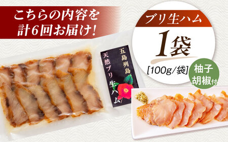 【全6回定期便】天然ブリ 熟成ハム 五島市/合同会社五島くんせい工房 燻製 燻製 ぶり ブリ[PDD034]