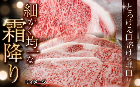 長崎和牛 サーロインステーキ 600g ＜大西海ファーム＞ CEK191 ステーキ