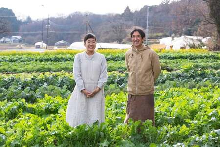 わたね　季節の里山旬菜詰め合わせＢＯＸ（計８品）≪ギフト セット 野菜 無農薬 グルメ≫
