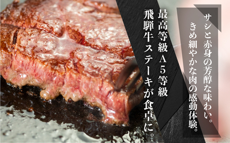 [A5等級] 飛騨牛 ステーキ 3回 定期便 ステーキ トキノ屋食品 [mt677]