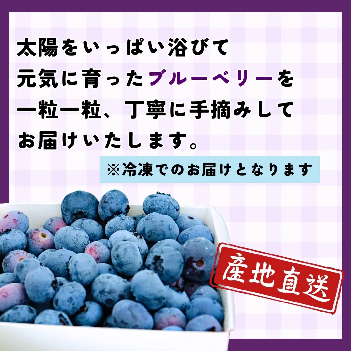 ブルーベリー １kg 【冷凍】【2026年7月より発送 先行予約】Br-003