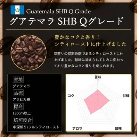 コーヒー豆 スペシャリティ Qグレード認証豆 グアテマラ SHB 中深煎り 1kg(500g×2)【1619516】