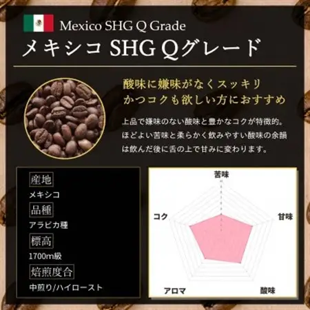 コーヒー豆 スペシャリティ Qグレード認証豆 メキシコ SHG 中煎り 500g【1620931】