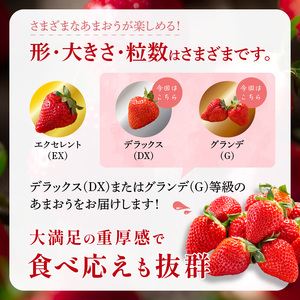 フルーツソムリエが選んだ福岡産【春】あまおう8パック【011-0091】