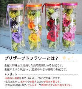 【イエロー】プリザーブドフラワー メルティ 高さ約16cm