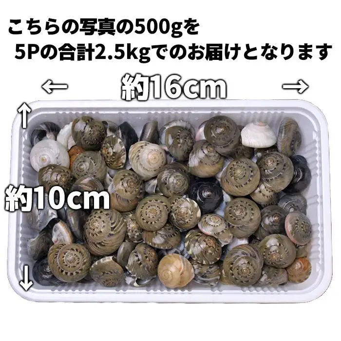 C01-E07 千葉県産ながらみ 2.5kg